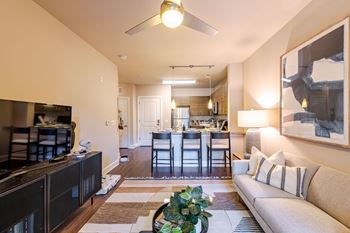 A living room with a television, couch, and a plant